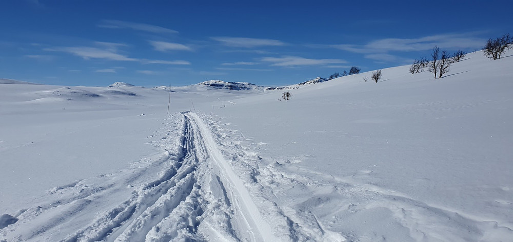 Flott vær på søndag, men tungt å brøyte spor