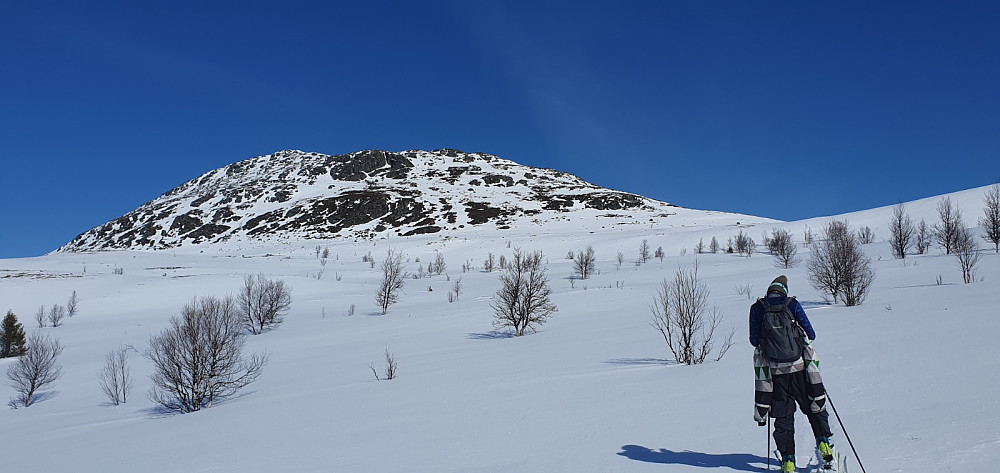 Glemt var uværet fra i går, og vi kunne rusle opp mot fjellet på nysnøen