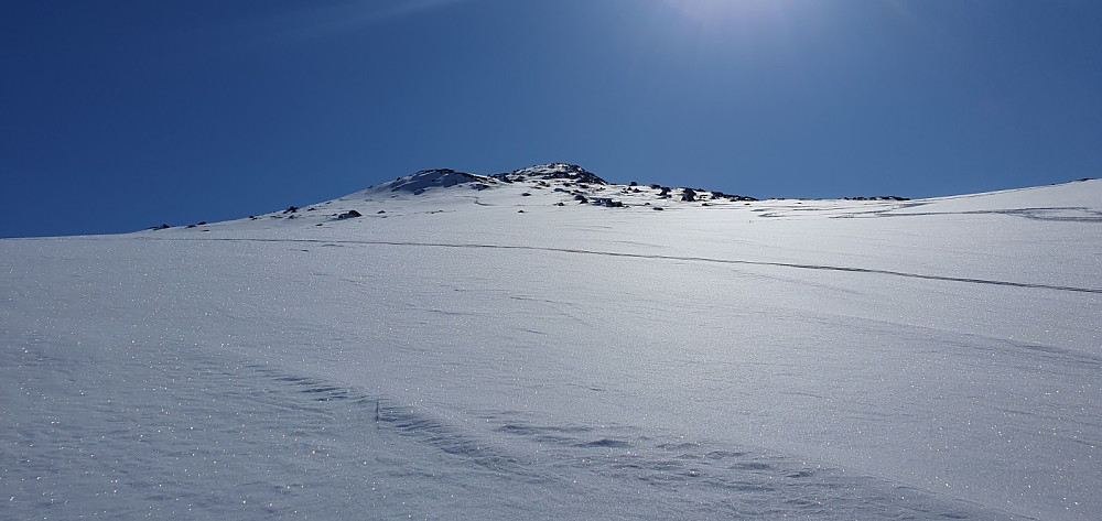 Mer perfekt snø for aking er det vanskelig å finne