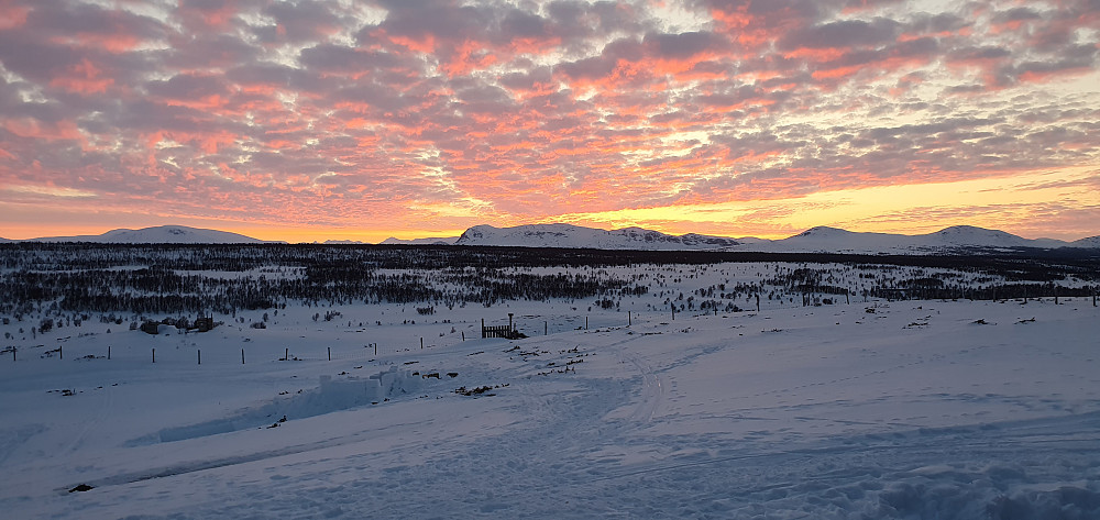 Flott himmel på kvelden
