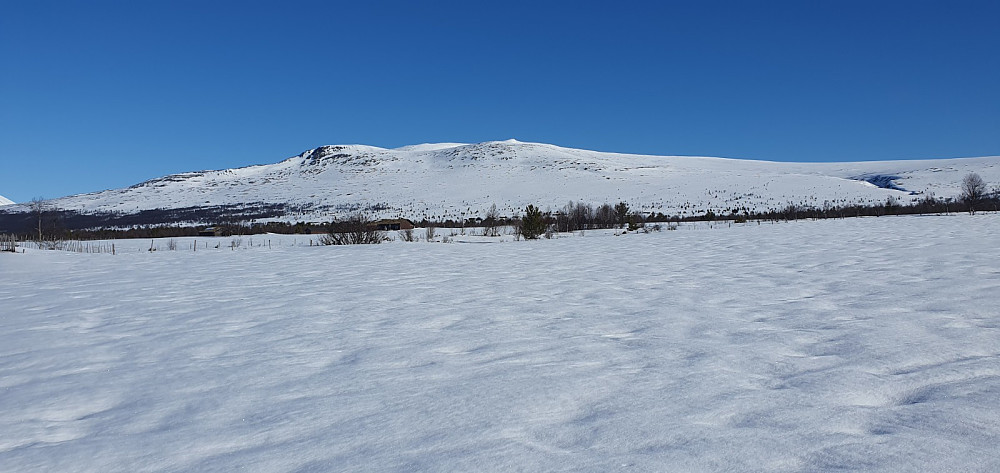 Fortsatt masse snø i fjellet og det var hard skare fra morgenen av og lett å gå