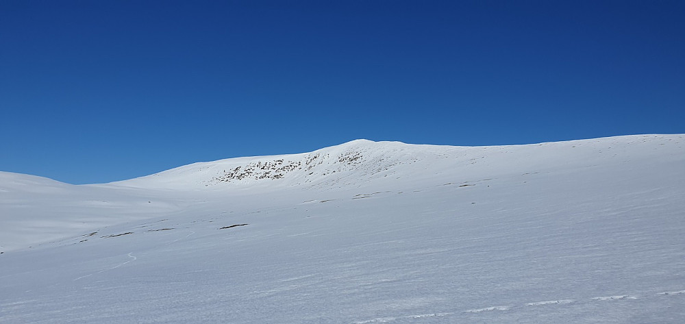 For å få litt variasjon til tidligere turer her, valgte jeg i dag å gå til høyre for bekken og så å følge ryggen opp mot fjellet