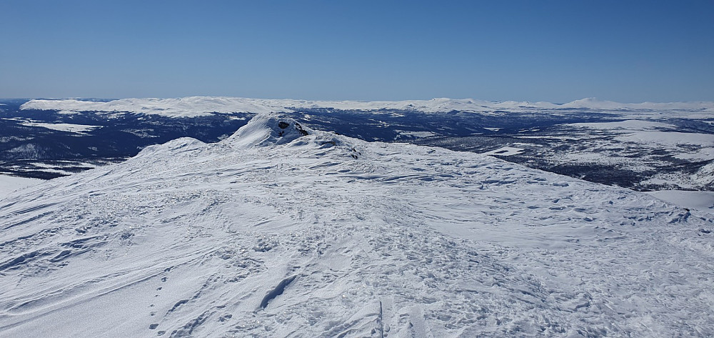 Mye skispor på toppen av Saukampen. Jeg så hele seks andre på tur i området i dag.