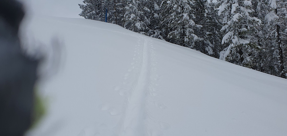 Høyere opp var det 30 - 40 cm tung og våt nysnø