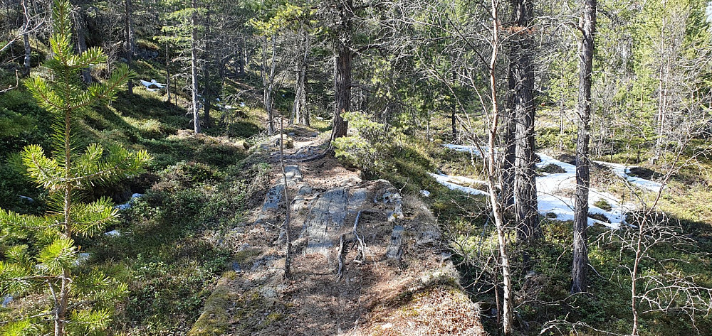 Noen snøflekker lå igjen i høyden