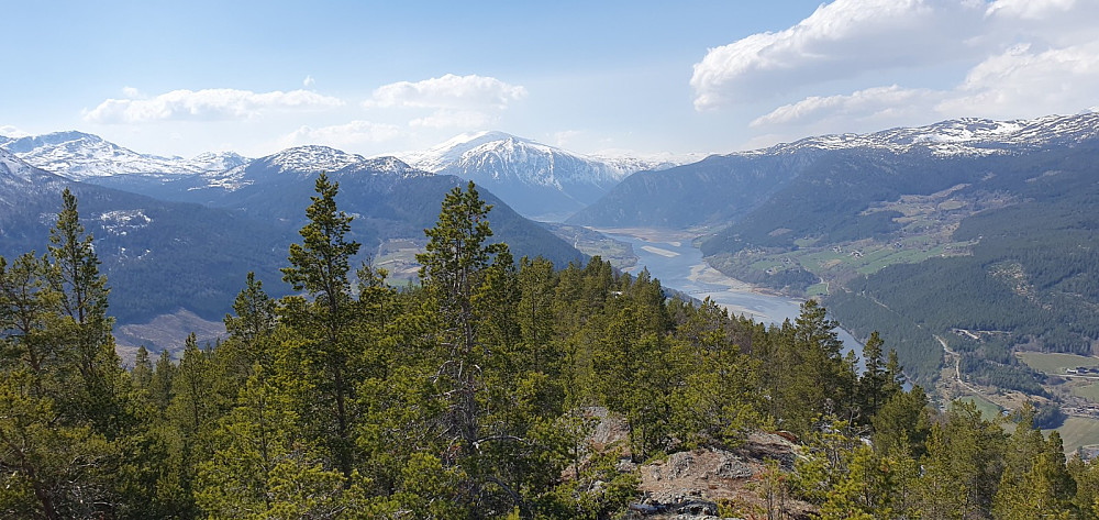 Fra toppen og mot Lom