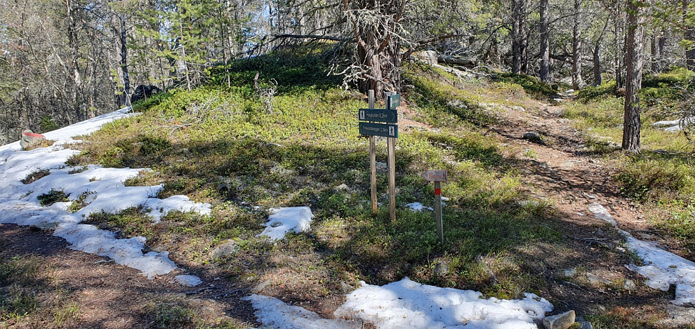 Det kunne vært fristende å tatt en rundtur, men stien på nordsiden var nok full av snø...