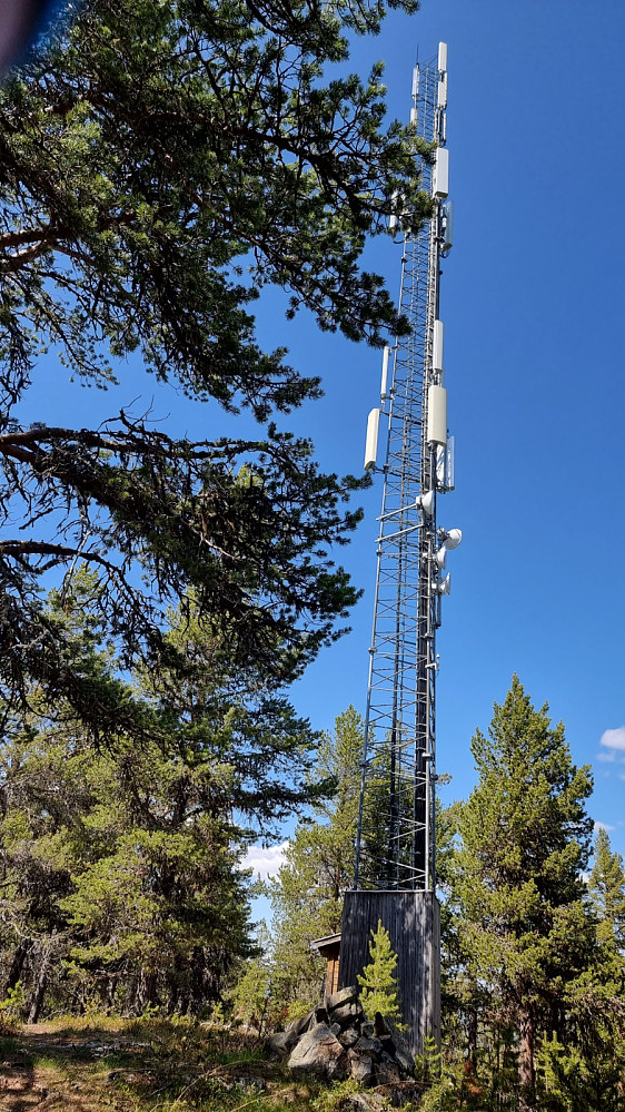Antenne rett ved toppen på Langtjønnhaugen. Begrenset med utsikt pga skogen