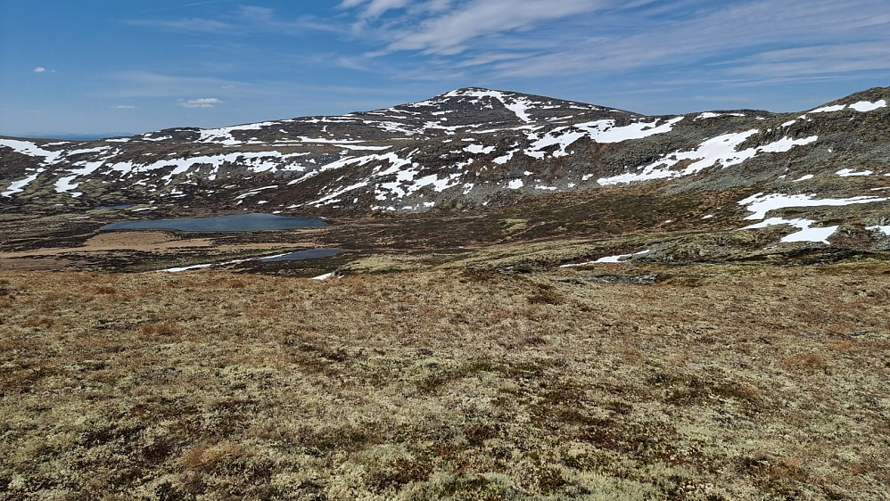 Opp mot Gråhøa som er høyeste toppen i dette fjellmassivet