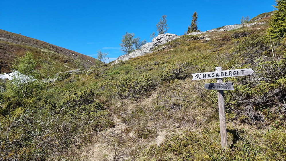 Stikryss litt oppe i lia, og herfra var ikke stien så tydelig, men grei å følge