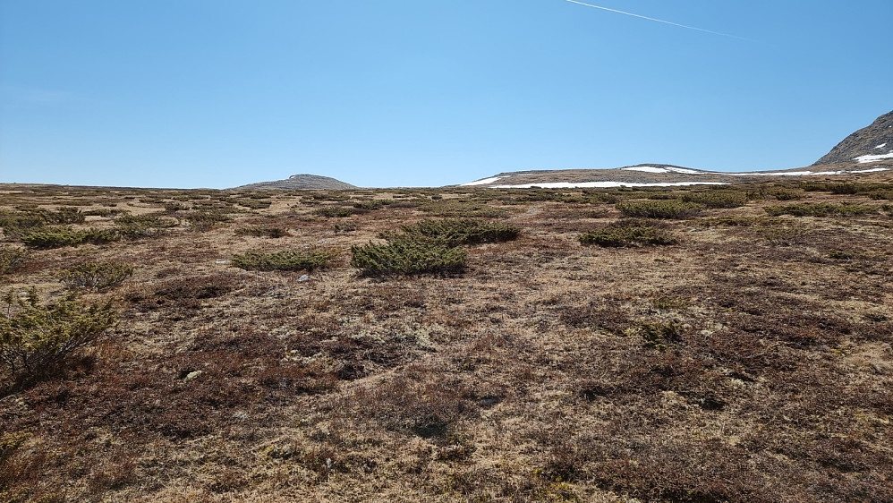 Etter å ha kommet opp på fjellet var det lettgått terreng med svak stigning opp til Hellberget, til venstre i bildet