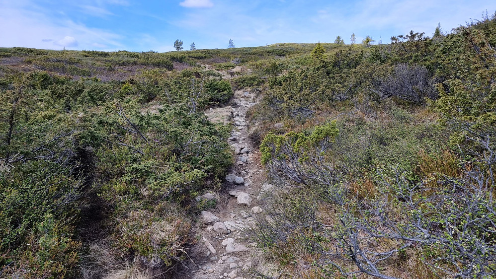 Smale og dype stier med mye stein gjorde det veldig vanskelig å sykle her. Det ble å trille sykkelen forbi de mest rufsete partiene