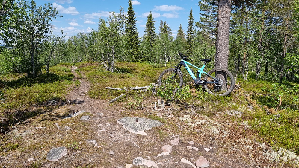 Høyeste punkt (Enn så lenge) på Nesvollberget