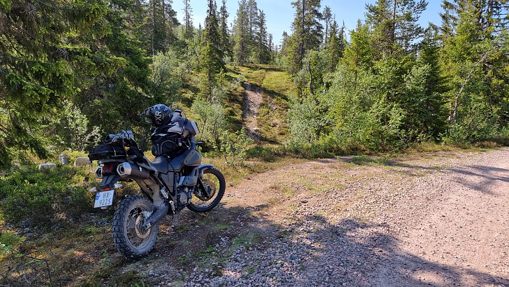 Det startet en sti ved parkeringsplassen, men den gikk ikke mot toppen, så det ble å finne sitt eget spor
