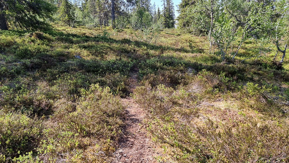 Fin sti, men den gikk i feil retning