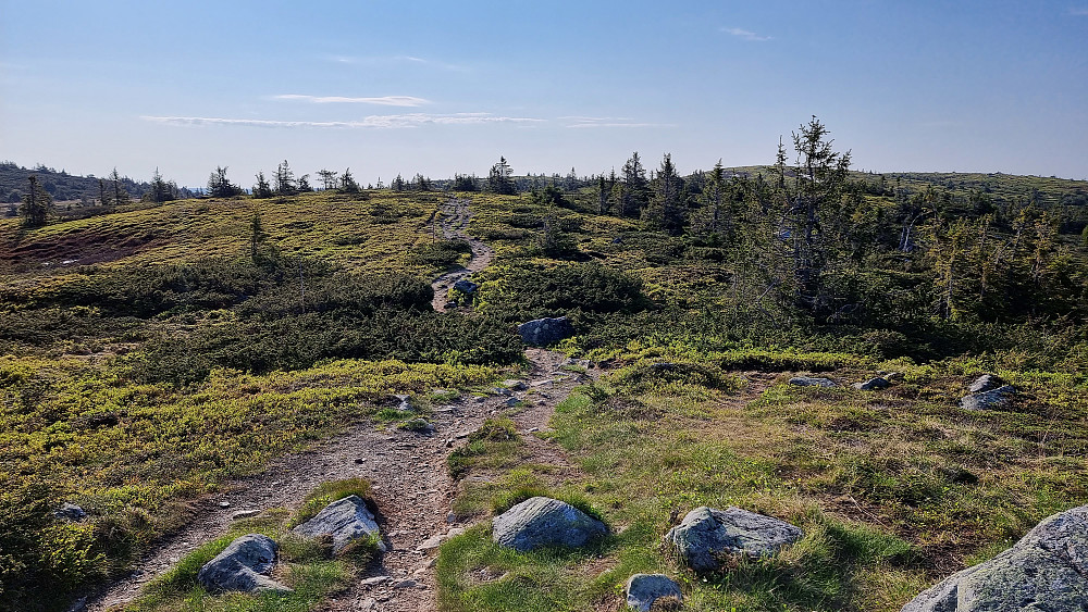 Perfekt vær på fjellet i dag tidlig
