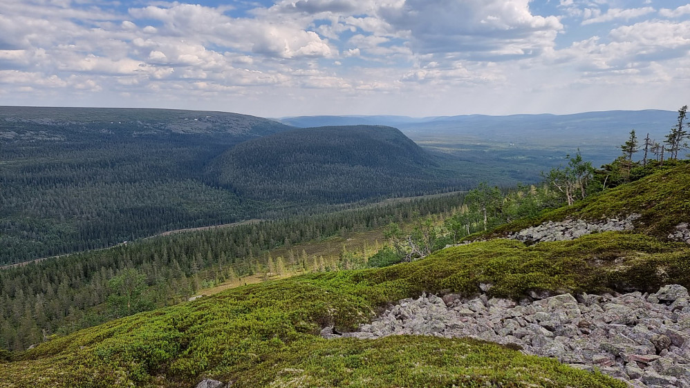 Flott utsikt over mot Bjønnåsen som var dagens forrige topp