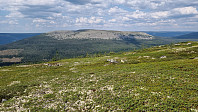 NJK500_20230617_648d9c424f165.jpg