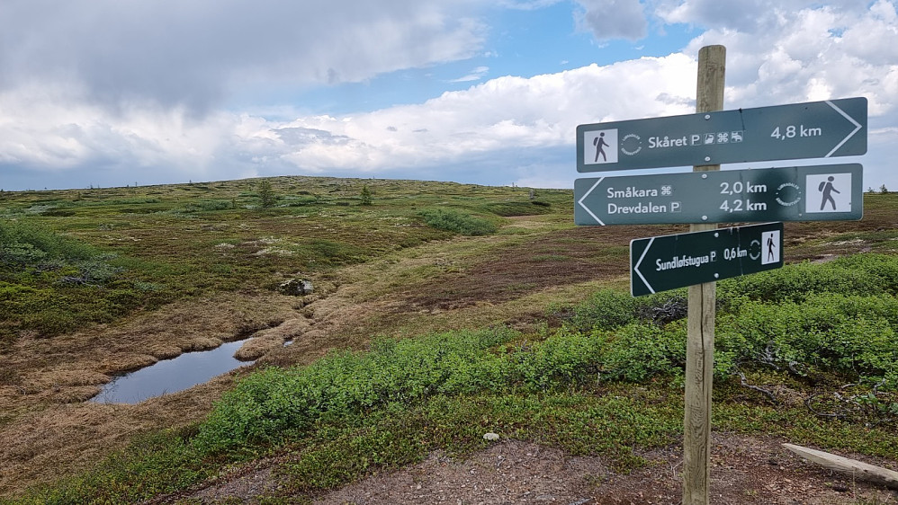 Godt skiltet i stikrysset, og velbrukte stier tyder på at det er en del turgåere i dette området