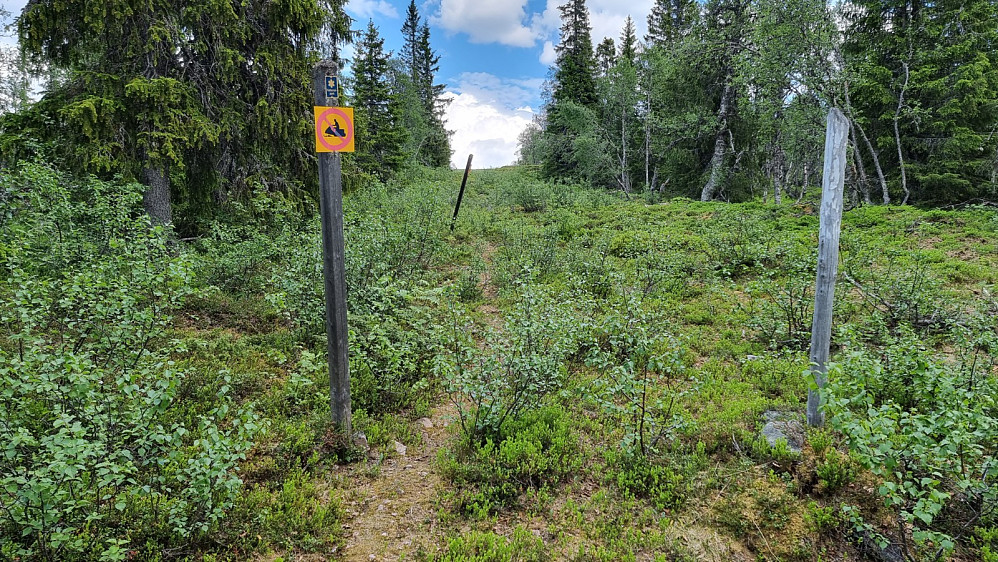 Stien i grensegata var grei å følge opp skogen