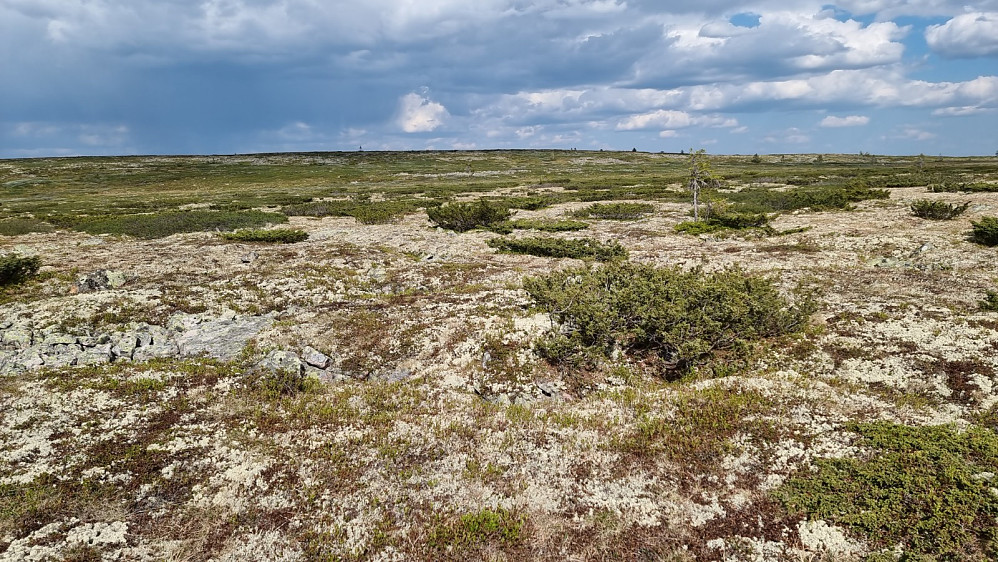Det virka uendelig langt innover fjellet her