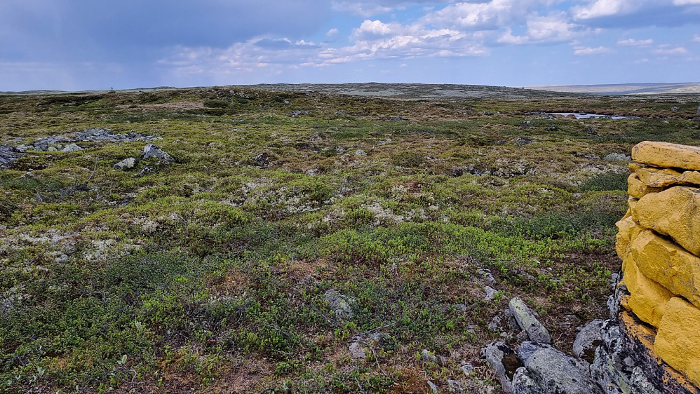 Langt og flatt bort til Brattfjellet