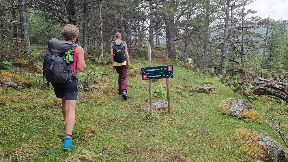 Godt skiltet ved stikrysset inne i skogen