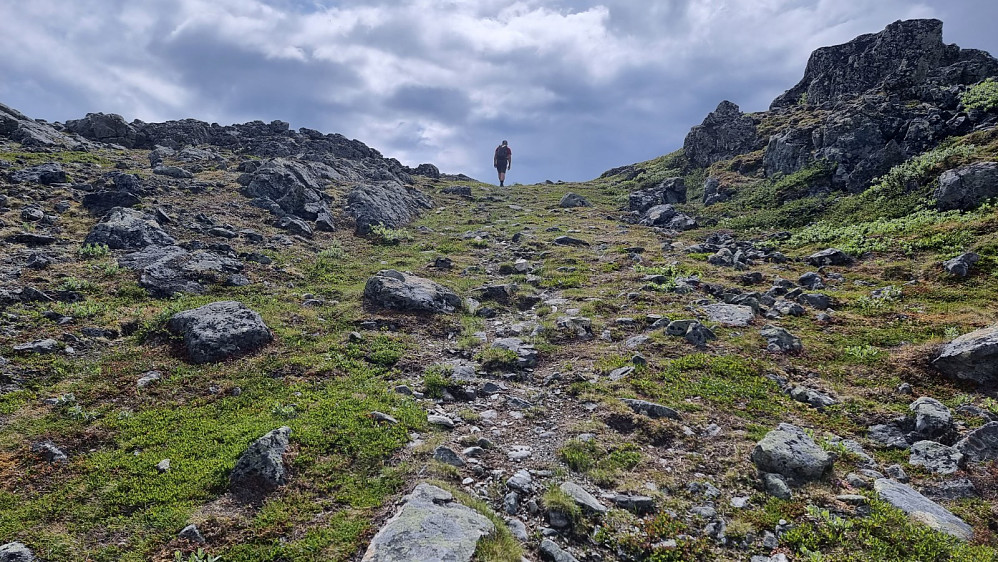 Etter litt kronglete sti lengre ned, ble det veldig lett gått oppe på ryggen av fjellet