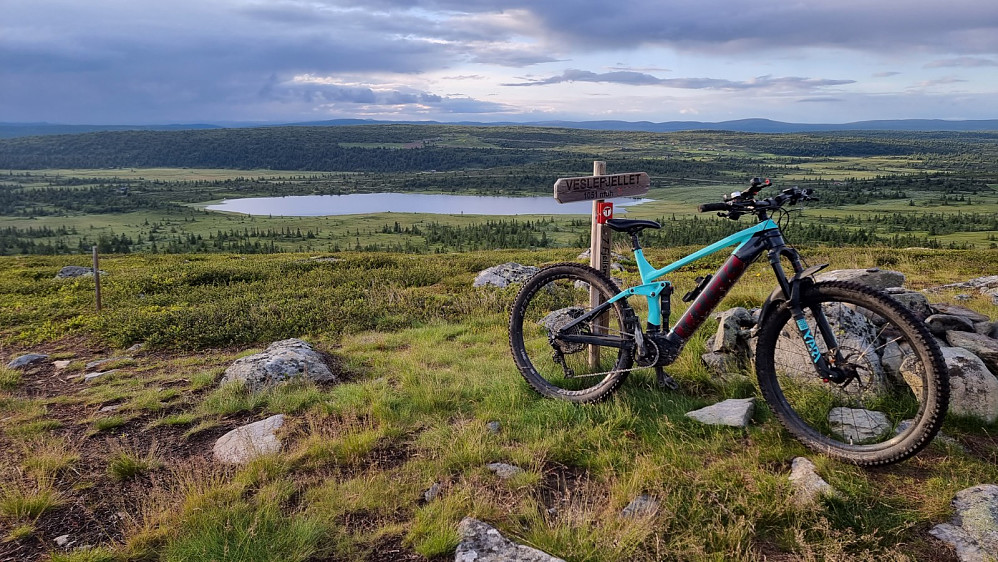 Det gikk lett opp mot Veslefjell, men jeg måtte av og trille et kort parti
