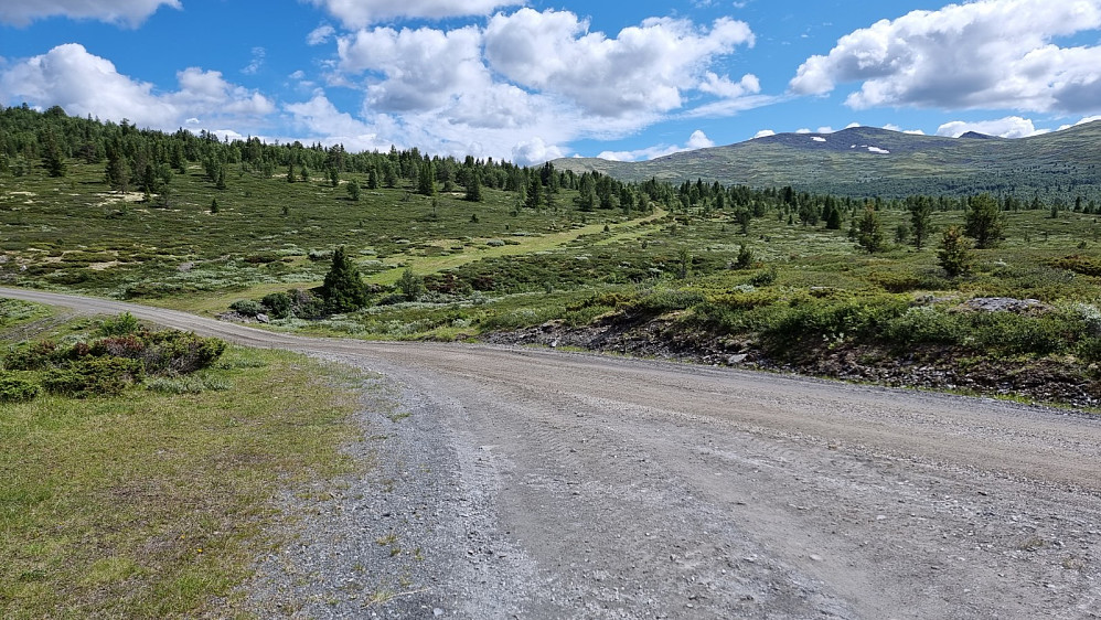 Jeg fikk en lett start på den gresskledde kjerreveien opp lia