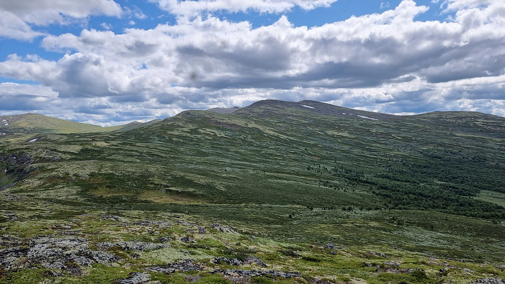 Opp mot Ruten, som får stå i fred i dag, da det er langt opp fra denne siden av fjellet