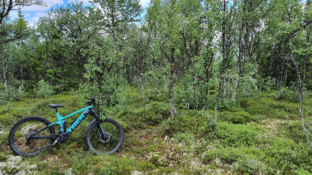 Tilbake ved Hattdalssetrin tok jeg sykkelen mot Lohøa, hvor det var greit å sykle opp. Her et sted er høyeste punkt