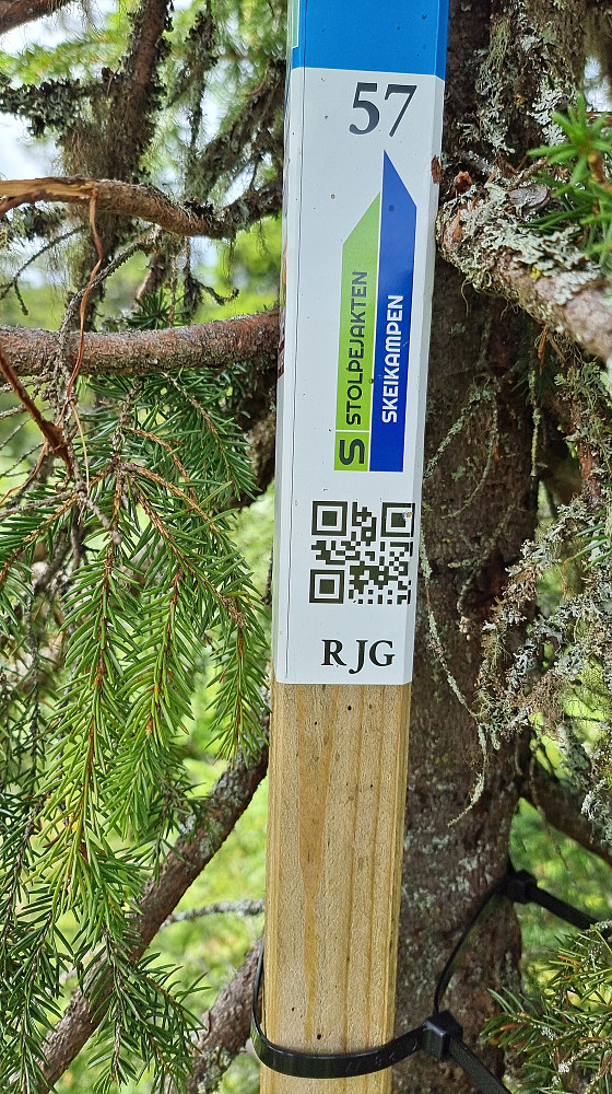 Det ble mest grønne og blå stolper i dag, og mange av de var plassert et stykke fra der de var markert på kartet, så det ble litt leting noen steder 