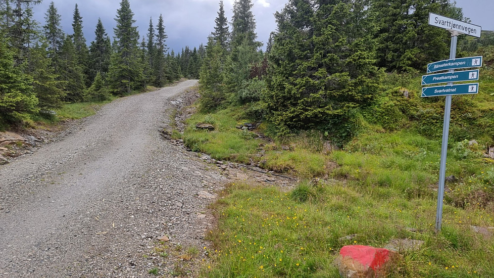 Det var skiltet parkering nede ved veikrysset, og da ble det å gå veien så langt den gikk oppover lia