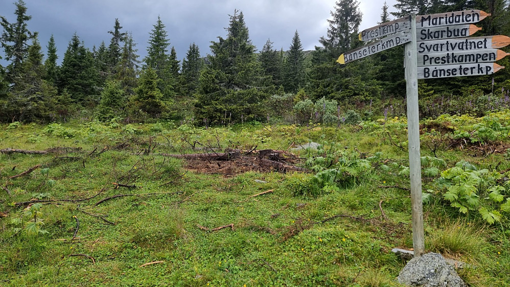 Godt skiltet ved veis ende, der stien startet opp skogen