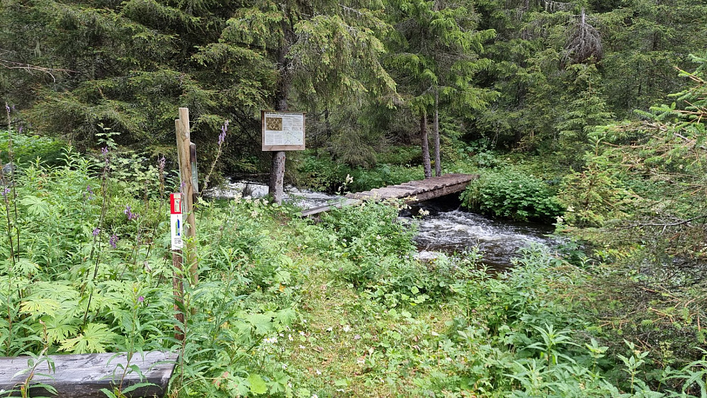 Nede der stolpen stod, var det en bru som ikke var avmerket på kartet, over bekken.