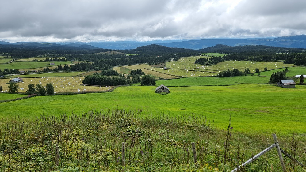 Fra turstart og med Rolldalshaugen midt i bildet