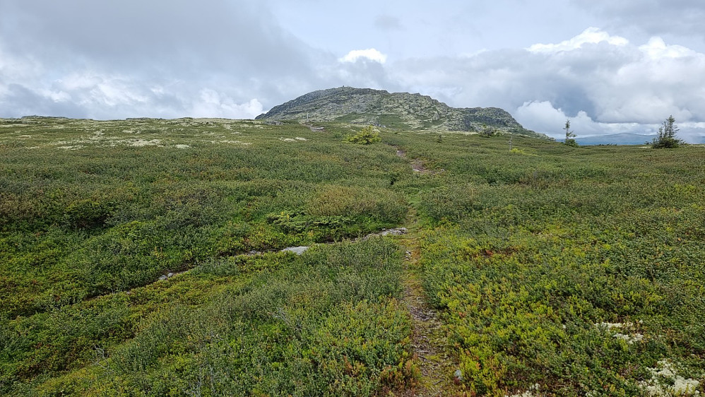 Det var fin sti helt opp på Svangkampen. Jeg glemte dessverre å ta bilde fra toppen i dag, men fikk registrert den svarte stolpen som stod på toppen