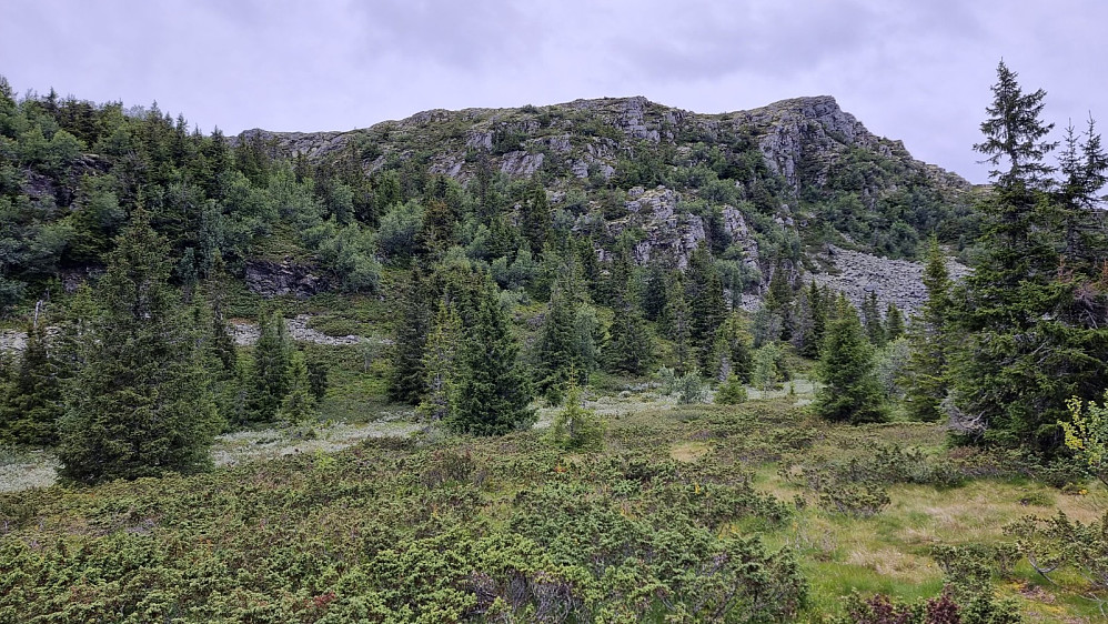 Her så jeg igjen fjellet. Stien går opp ryggen til høyre i bildet