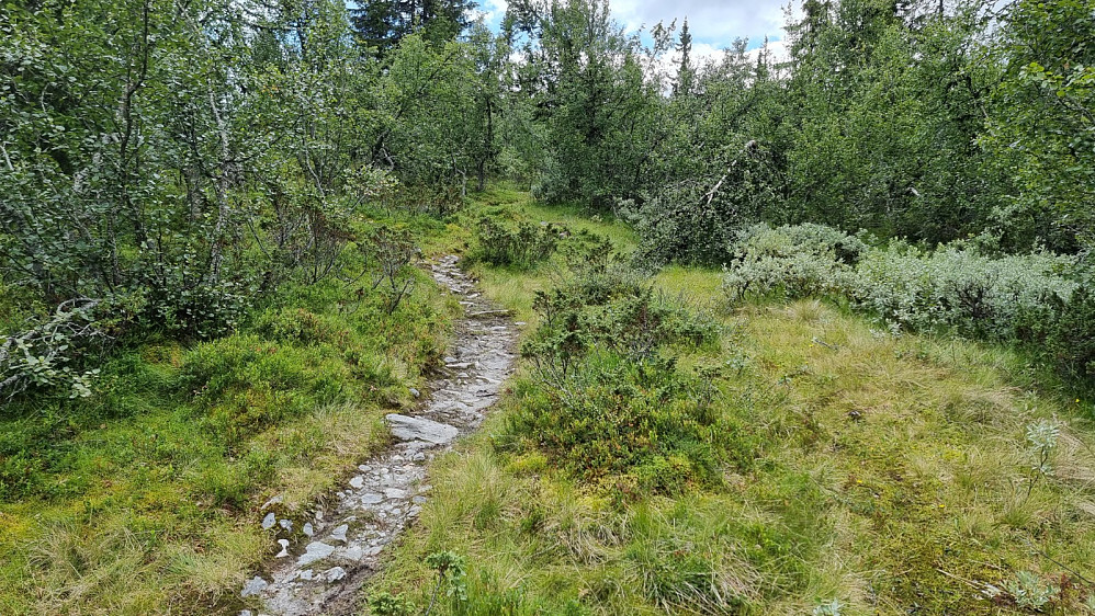 Bortsett fra starten, var det tørr sti her