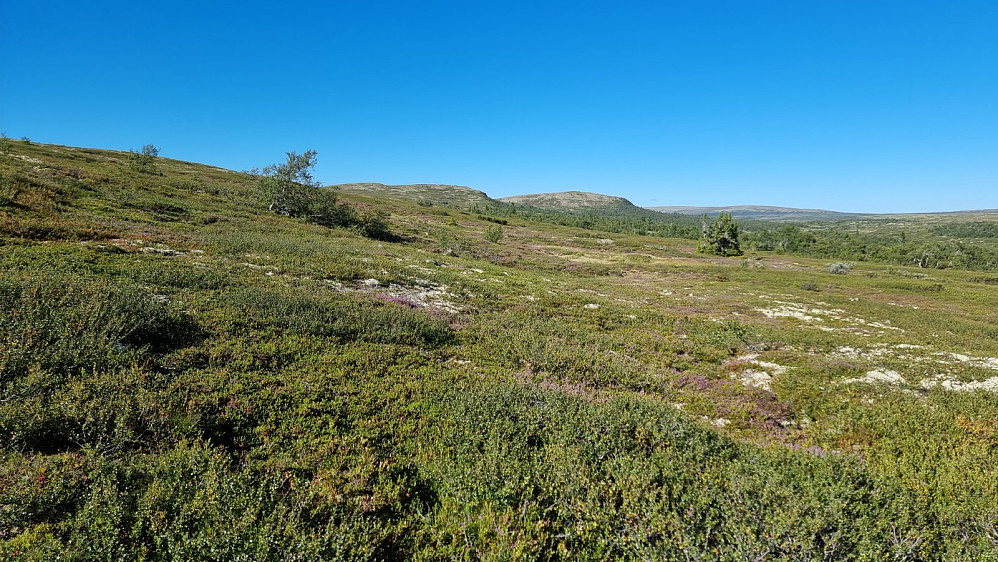 Jeg tok den nedre, og våte, stien bortover lia mot Støtfjellet som er den midtre toppen i bildet