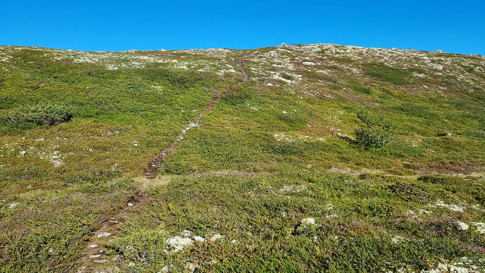 Flott sti hele veien opp