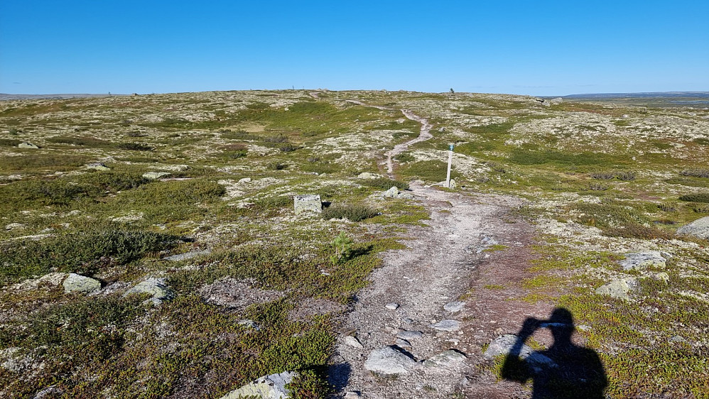 Denne turen hadde vært kjapt unnagjort på sykkel....