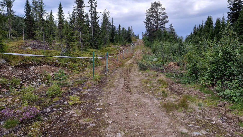 Jeg blir stadig overrasket over menneskehetens uendelige uforstand når det gjelder naturinngrep og hva vi er villige å ødelegge av natur.