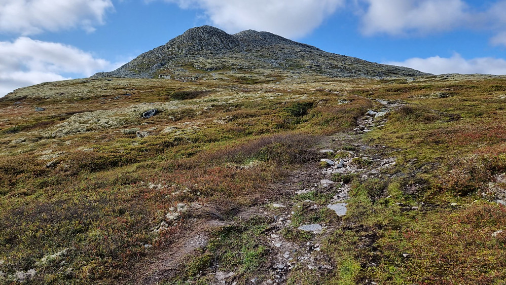 Fin sti og lett å gå opp til Søre Bølhøgda, men opp mot toppen var det bratt