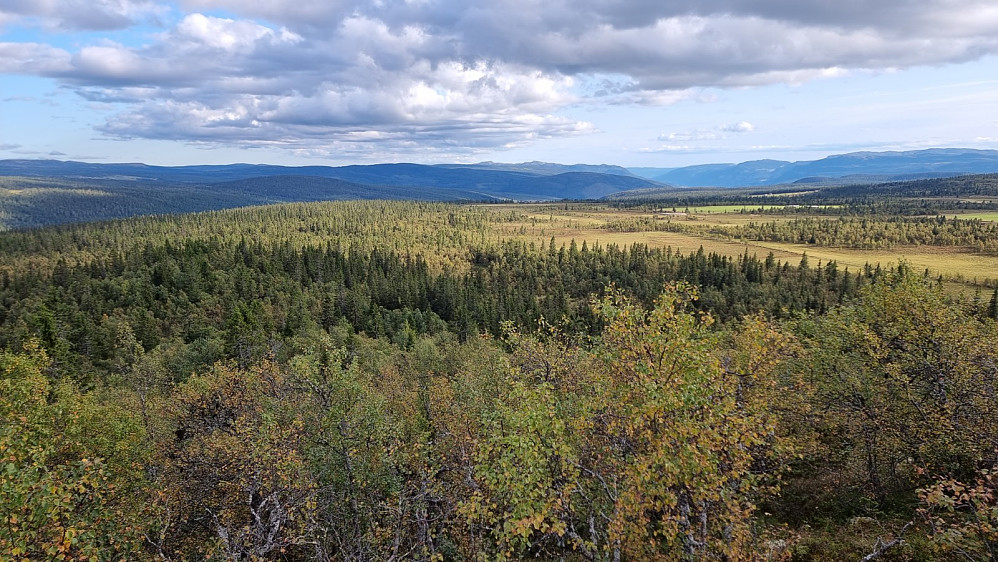 Fra en stolpelokasjon på en bergknaus i skogen og sørover. Svangkampen og Djupdalskampen langt bak midt i bildet