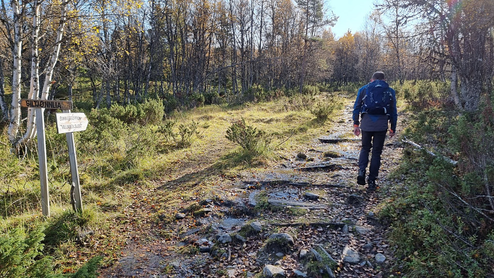 TB ledet an i godt tempo på stien opp gjennom skogen