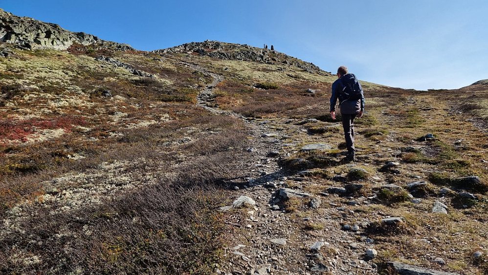 Vi nådde igjen damene og ble enige om at vi gutta kunne stikke av gårde på en tur opp på Geitryggen. Her er TB rett under Sukkertoppen, hvor det var hele 6 stykker på toppen før oss