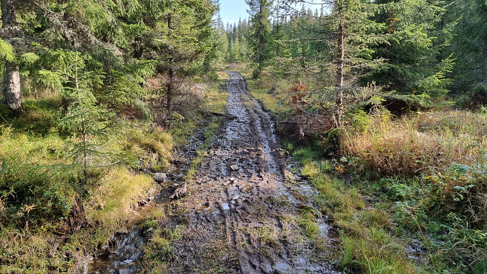 Lengre opp var det veldig vått og det ble tungt å sykle, men jeg kom meg opp med bare en stopp, et sted jeg sank for dypt ned i gjørma.