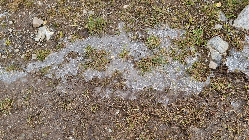 Det var en del is i stien høyere opp. Det var imidlertid ikke glatt, så det gikk greit å sykle.